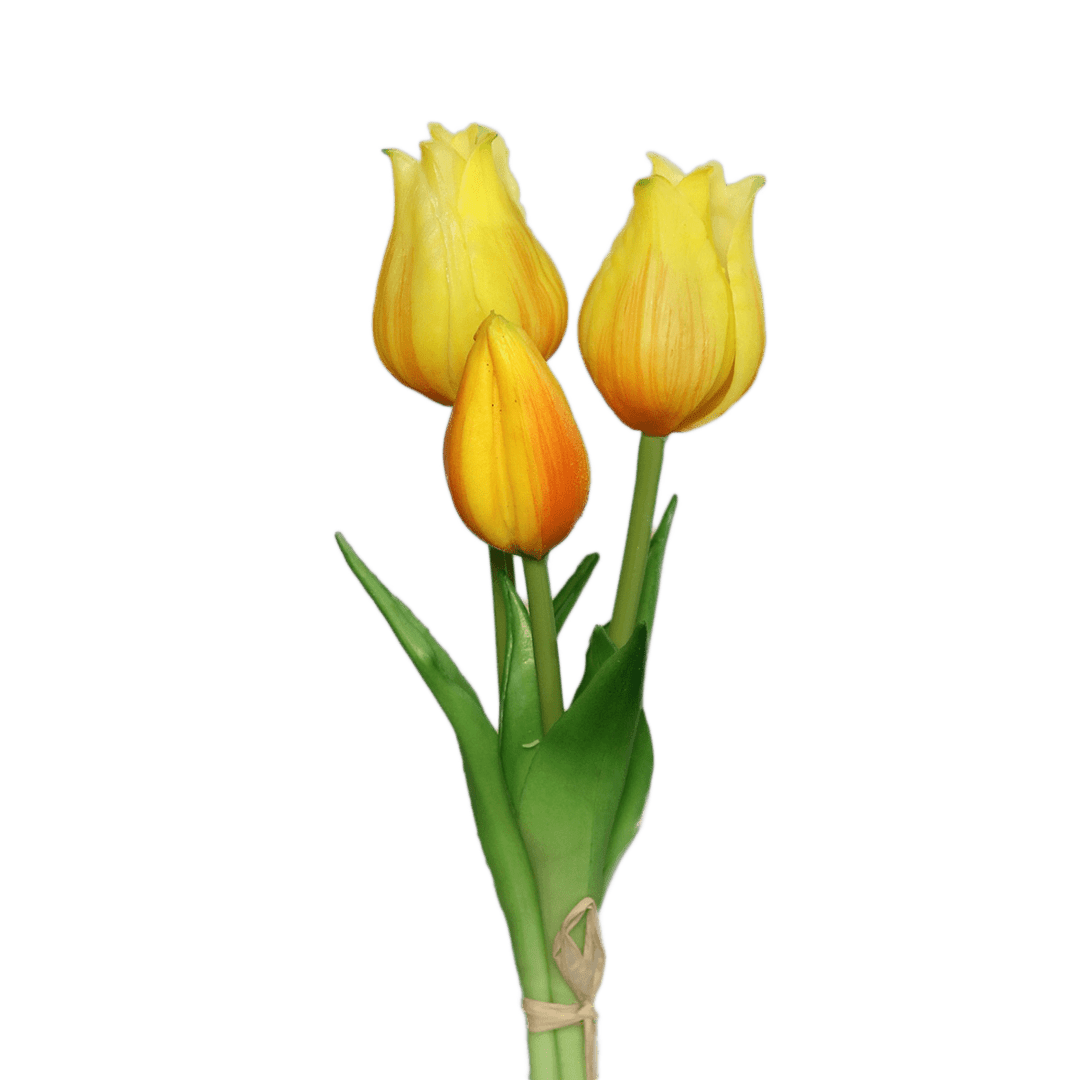 tulpen dunkles gelb