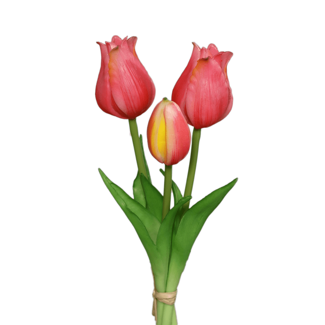 tulpen pink