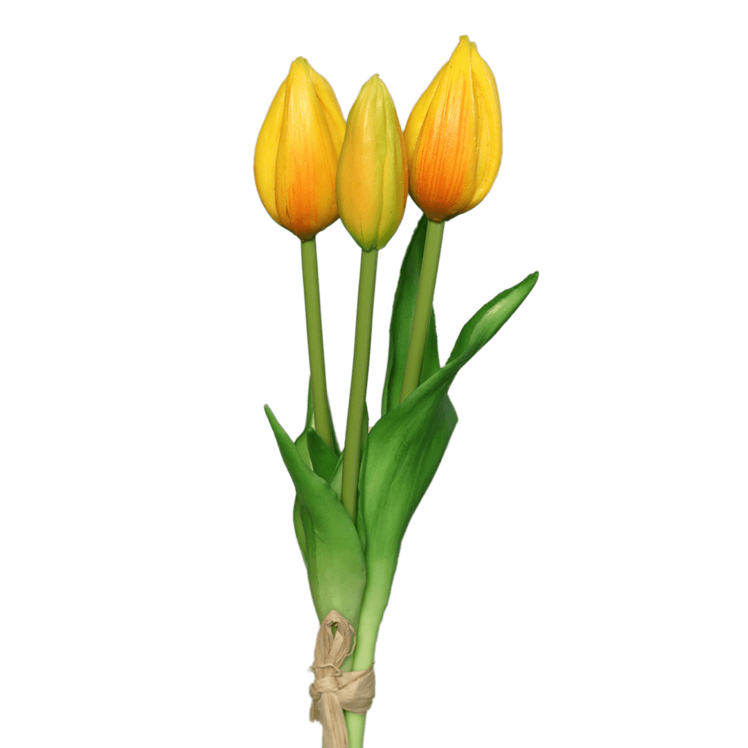 tulpen dunkles gelb