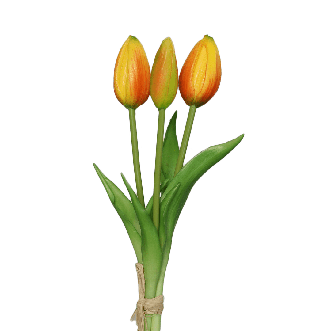 tulpen gelb-orange