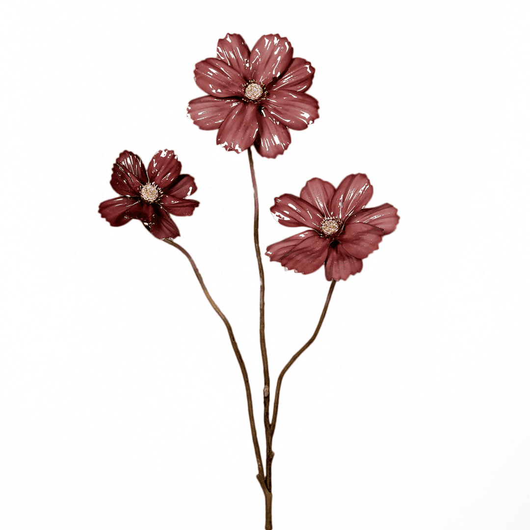 cosmea mit drei blüten, dunkles rosé